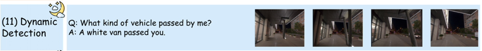 Dynamic Detection QA Example